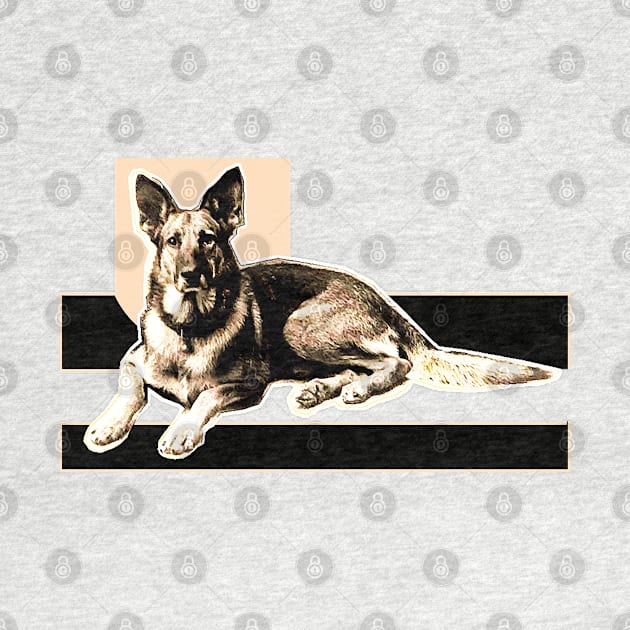 German Shepherd Dog by Marccelus